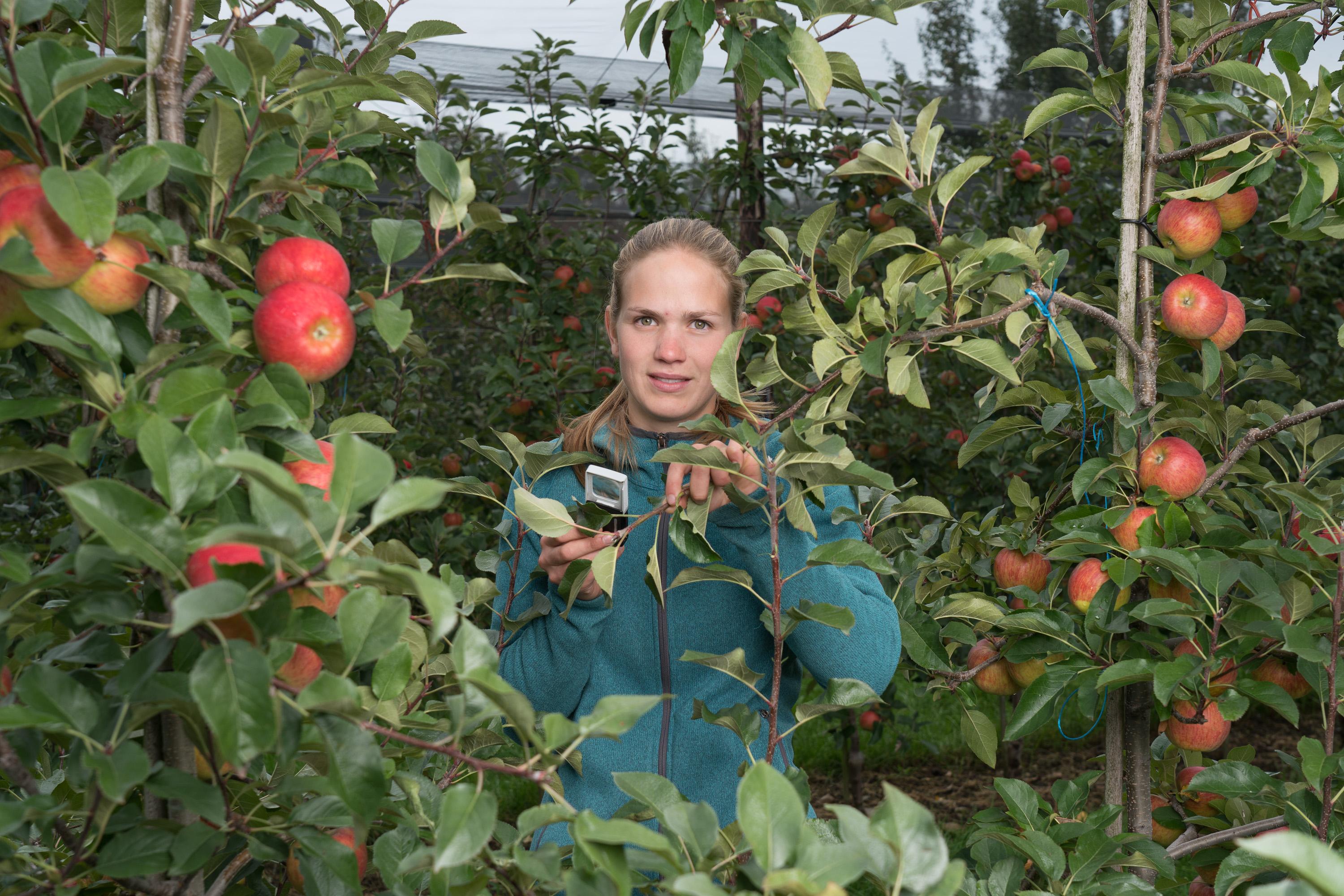 thumb Landwirtin auf Weide