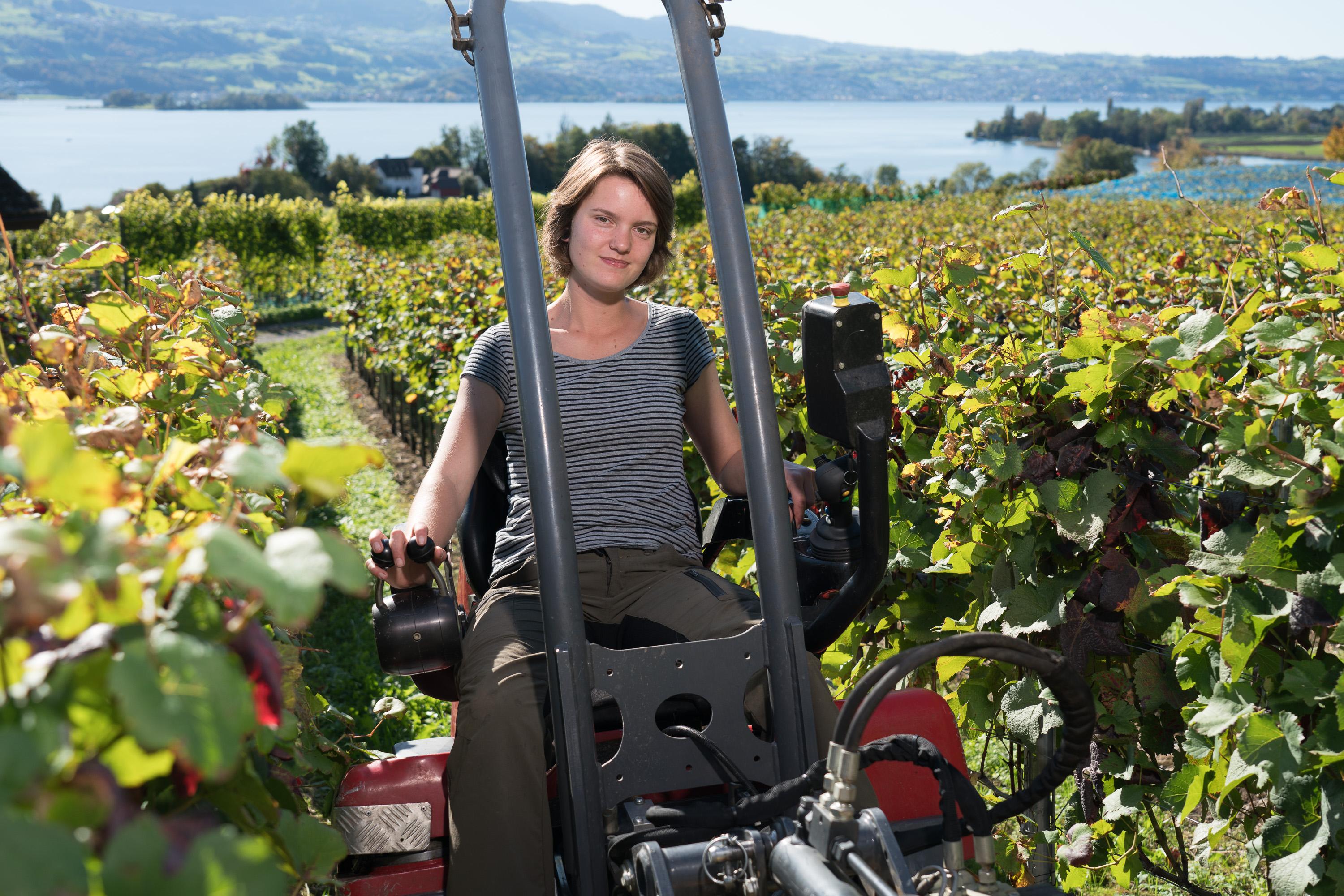 thumb Landwirt auf Acker